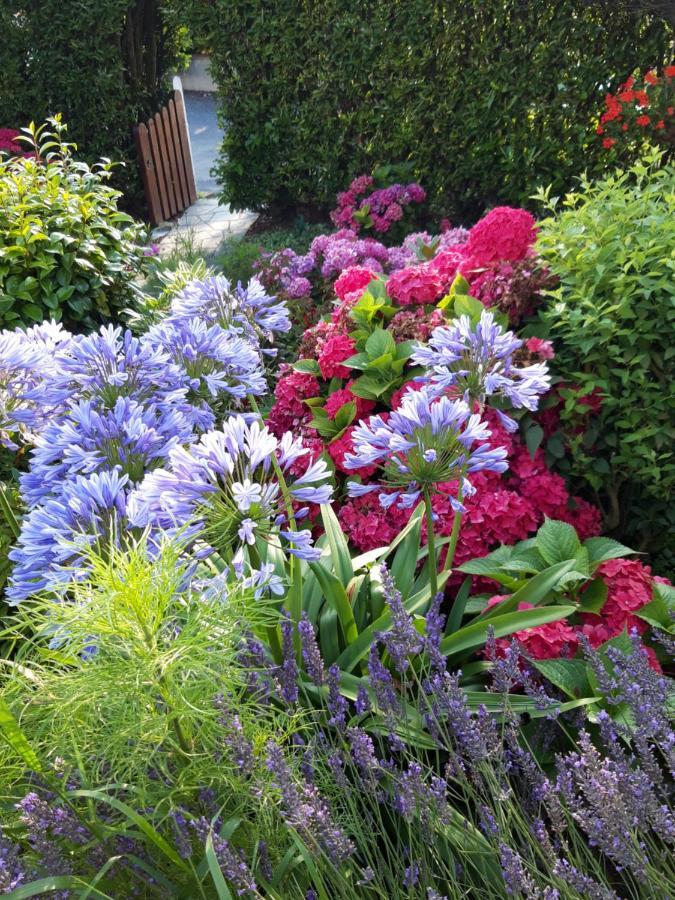 Les Puits Bessin Normandie Sommervieu Ngoại thất bức ảnh
